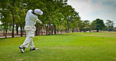 Computer Screen Image #095 Golf Screen Image (Image Only. Computer Prop Not Included)