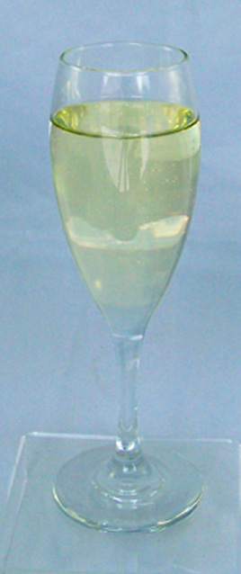 Champagne Glass