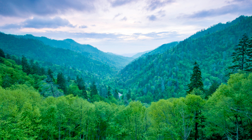 22" TV Screen Image #186 Smokey Mountains (Screen Print Only. 22 Inch TV Prop Not Included)