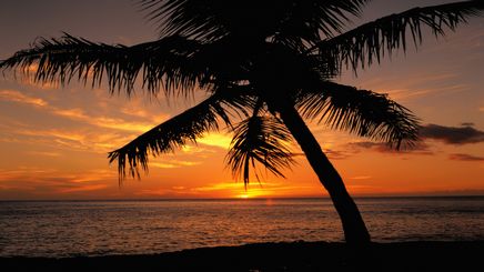 27" TV Screen Image #159 Tropical Sunset (Screen Print Only. 27 Inch TV Prop Not Included)