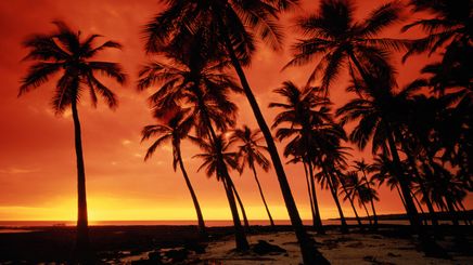 27" TV Screen Image #165 Hawaiian Sunset (Screen Print Only. 27 Inch TV Prop Not Included)