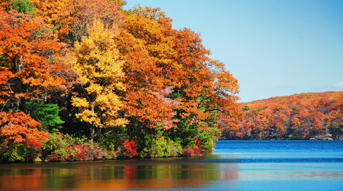 27" TV Screen Image #190 Autumn at the Lake (Screen Print Only. 27 Inch TV Prop Not Included)