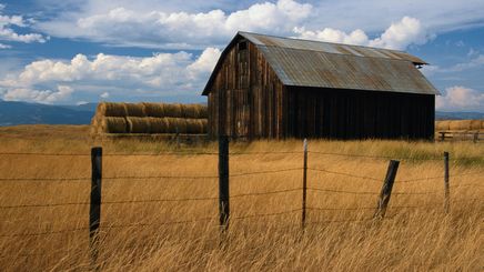 42" TV Screen Image #121 Barn in Field (Screen Print Only. 42 Inch TV Prop Not Included)