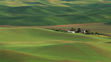 42" TV Screen Image #124 Fields of Green (Screen Print Only. 42 Inch TV Prop Not Included)