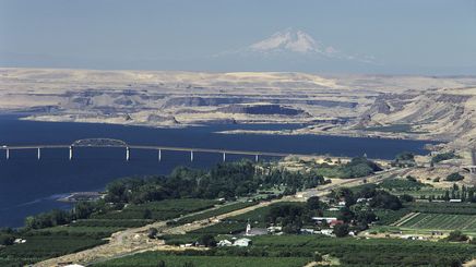 42" TV Screen Image #146 Columbia River (Screen Print Only. 42 Inch TV Prop Not Included)