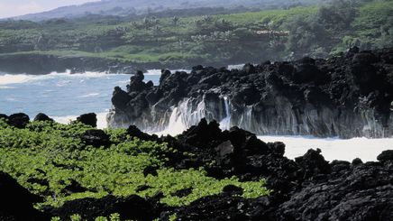 42" TV Screen Image #162 Waves Against the Lava Rocks (Screen Print Only. 42 Inch TV Prop Not Included)