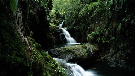 42" TV Screen Image #163 Onomea Falls in Hawaii (Screen Print Only. 42 Inch TV Prop Not Included)