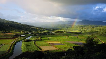 50" TV Screen Image #160 Kauai (Screen Print Only. 50 Inch TV Prop Not Included)