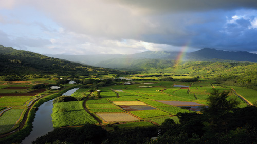 60" TV Screen Image #160 Kauai (Screen Print Only. 60 Inch TV Prop Not Included)