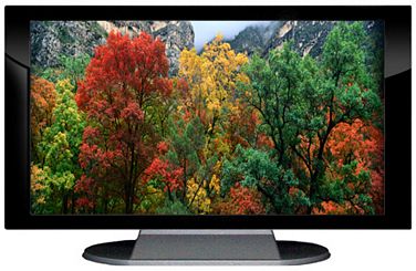 27" TV Prop Plasma-LED Flat Screen TV in Gloss Black on Matte Silver-XX Style Series with Autumn Trees Screen