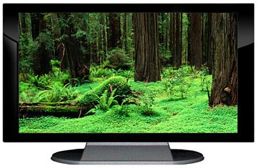 27" TV Prop Plasma-LED Flat Screen TV in Gloss Black on Matte Silver-XX Style Series with Redwood Forest Screen