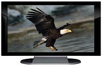 27" TV Prop Plasma-LED Flat Screen TV in Gloss Black on Matte Silver-XX Style Series with Bald Eagle Screen