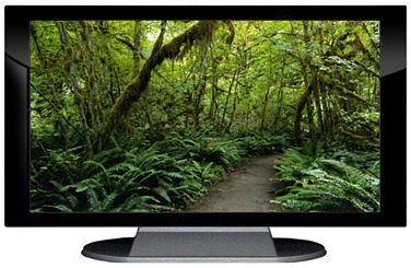 27" TV Prop Plasma-LED Flat Screen TV in Gloss Black on Matte Silver-XX Style Series with Forest Trail Screen