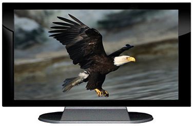 32" TV Prop Plasma-LED Flat Screen TV in Gloss Black on Matte Silver-XX Style Series with Bald Eagle Screen