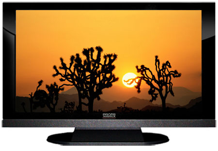 22" TV Prop LED HDTV Prop with Bottom Speaker in Gloss Black on Matte Black-BB Style Series with  Joshua Trees Screen