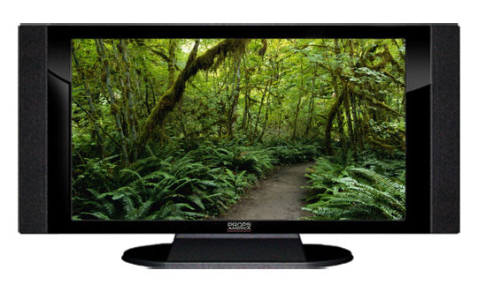 22" TV Prop HD TV Prop with Side Speakers in Gloss Black on Matte Black-SS Style Series with Forest Trail Screen