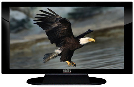 32" TV Prop Plasma-LED Flat Screen TV in Gloss Black on Matte Black-XX Style Series with Bald Eagle Screen