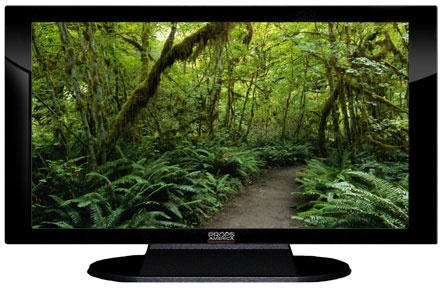 47" TV Prop Plasma-LED Flat Screen TV in Gloss Black on Matte Black-XX Style Series with Forest Trail Screen