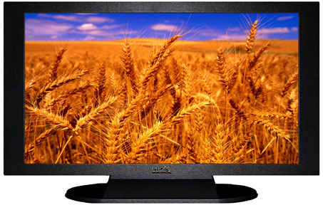 42" TV Prop Plasma-LED Flat Screen TV in Matte Black-XX Style Series with Golden Wheat Screen