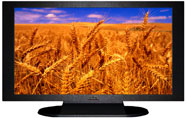 22" TV Prop Plasma-LED Flat Screen TV in Matte Black-XX Style Series with Golden Wheat Screen