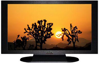 42" TV Prop Plasma-LED Flat Screen TV in Matte Black-XX Style Series with Joshua Trees Screen