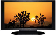 22" TV Prop Plasma-LED Flat Screen TV in Matte Black-XX Style Series with Joshua Trees Screen