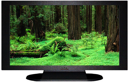 42" TV Prop Plasma-LED Flat Screen TV in Matte Black-XX Style Series with Redwood Forest Screen