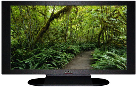 42" TV Prop Plasma-LED Flat Screen TV in Matte Black-XX Style Series with Forest Trail Screen