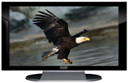 22" TV Prop Plasma-LED Flat Screen TV in Gloss Black on Matte Silver-XX Style Series with Bald Eagle Screen