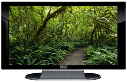 22" TV Prop Plasma-LED Flat Screen TV in Gloss Black on Matte Silver-XX Style Series with Forest Trail Screen