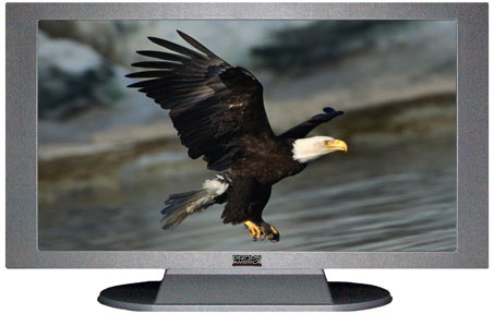 47" TV Prop Plasma-LED Flat Screen TV in Matte Silver-XX Style Series with Bald Eagle Screen